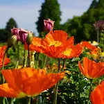 Penzion Pulverhuette Gaestehaus Im Egapark - Ein Projekt Der Lebenshilfe Service Ggmbh