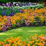 Pulverhuette Gaestehaus Im Egapark - Ein Projekt Der Lebenshilfe Service Ggmbh Penzion