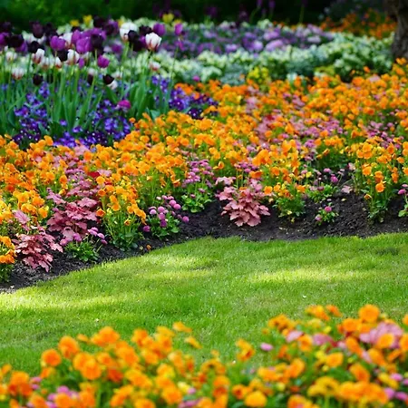 Pulverhuette Gaestehaus Im Egapark - Ein Projekt Der Lebenshilfe Service Ggmbh Pensionat