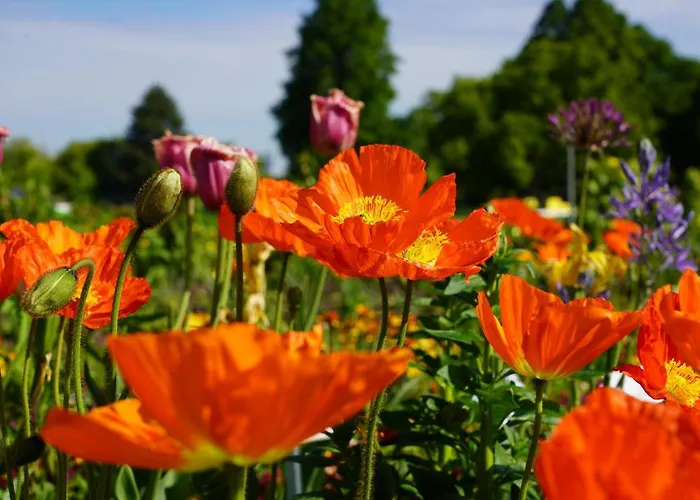 Konukevi Pulverhuette Gaestehaus Im Egapark - Ein Projekt Der Lebenshilfe Service Ggmbh
